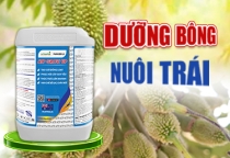 ATP GROW UP DƯỠNG BÔNG - NUÔI TRÁI SẦU RIÊNG 