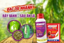 ĐẶC TRỊ RẦY XANH - SÂU ĂN LÁ SẦU RIÊNG 