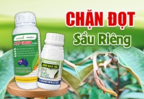 SIÊU KÉO ĐỌT SÀU RIÊNG 