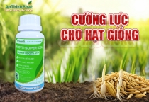 SUPER ROOTS  ATP - CƯỜNG LỰC CHO HẠT GIỐNG 