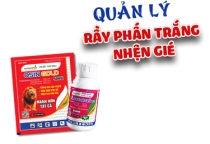 QUẢN LÝ NHANH RẦY PHẦN TRẮNG - NHỆN NHÉ 