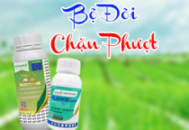 BỘ ĐÔI CHẶN PHƯỢT TRÊN HÀNH 