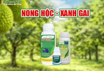 GIẢI PHÁP NONG HỘC - XANH GAI SẦU RIÊNG 