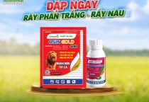 GIẢI PHÁP DẬP DỊCH RẦY NÂU - RẦY PHẤN TRẮNG 