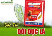 ĐẶC TRỊ DÒI ĐỤC LÁ LÚA 