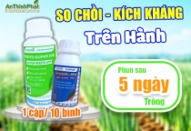 SO CHỒI - KÍCH KHÁNG TRÊN HÀNH 