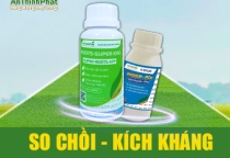 GIẢI PHÁP SO CHỒI - KÍCH KHÁNG 