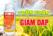 ATP PHOS A - TRỘN PHÂN GIẢM DAP - TIẾT KIỆM - HIỆU QUẢ CAO 
