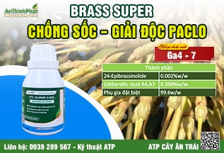 CÔNG TY CỔ PHẦN ỨNG DỤNG SINH HỌC AN THỊNH PHÁT