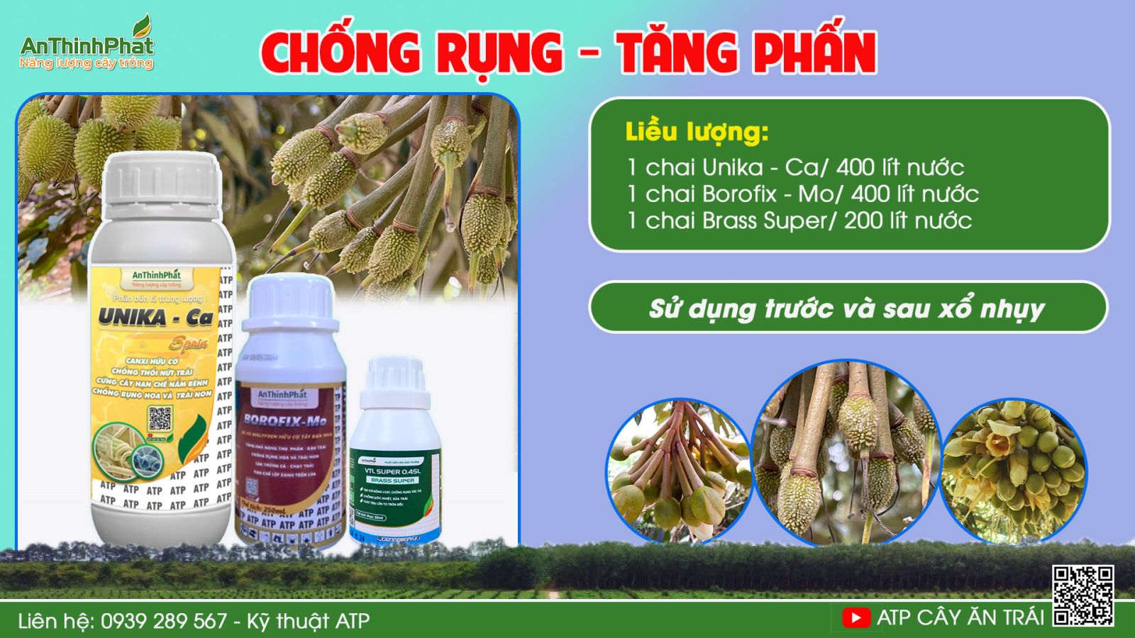 Chống rụng - chống sốc sầu riêng 