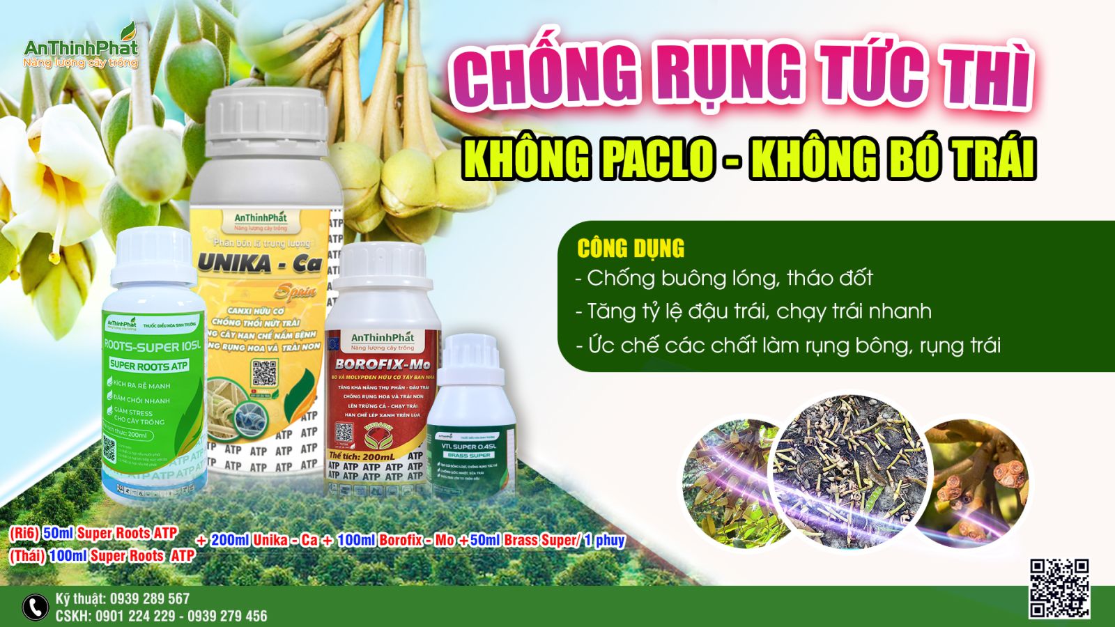 Chống rụng - chống sốc sầu riêng 