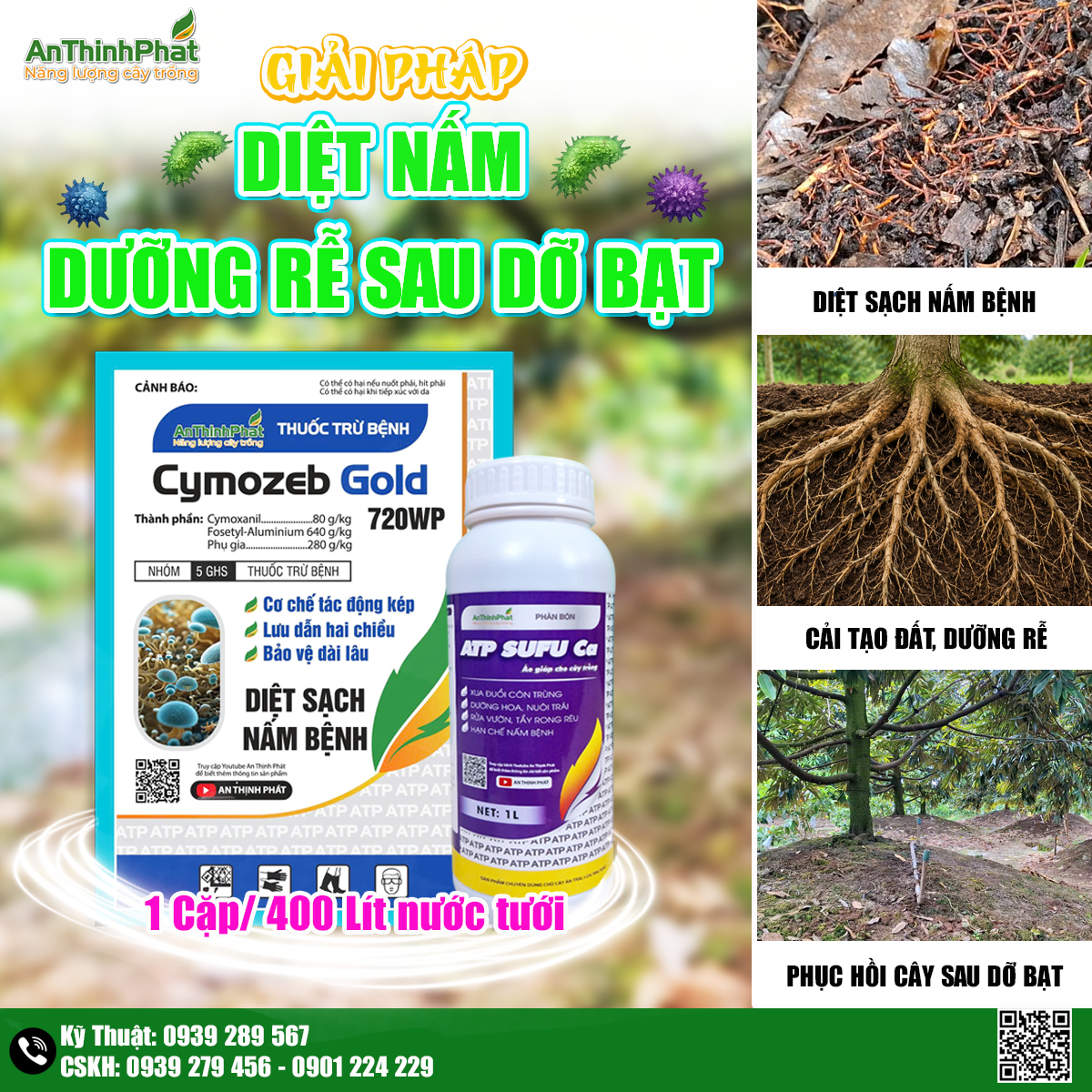 diệt nấm - dưỡng rễ sau dở bạt 