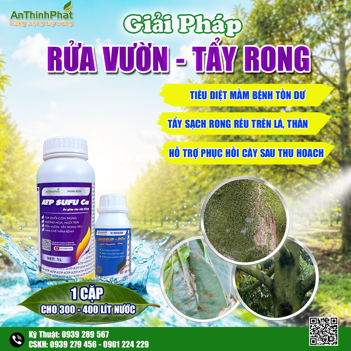 rừa vườn sầu riêng 