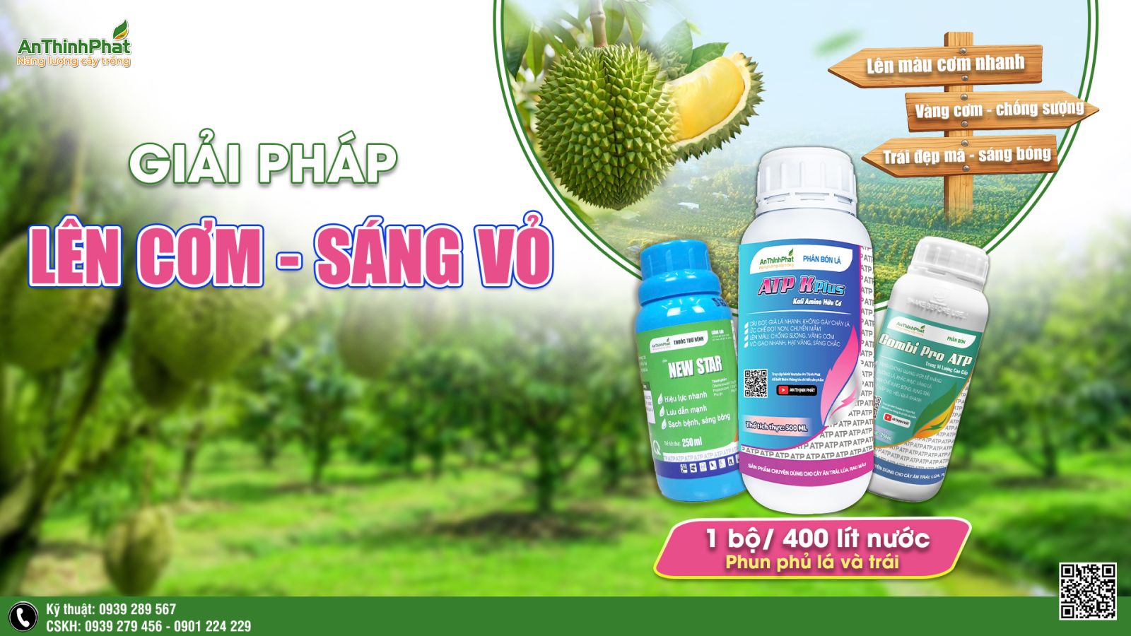 giải pháp lên cơm sáng vỏ sầu riêng