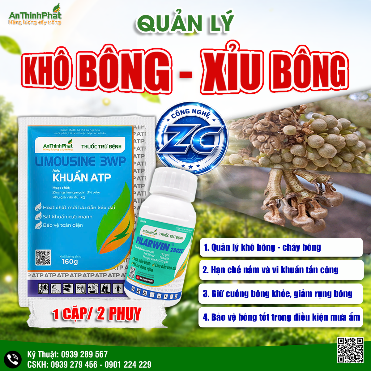 quản lý khô bông - xỉu bông sầu riêng 
