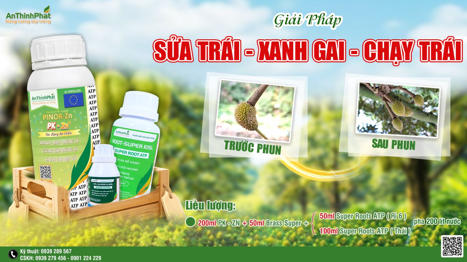 sửa trái sầu riêng 