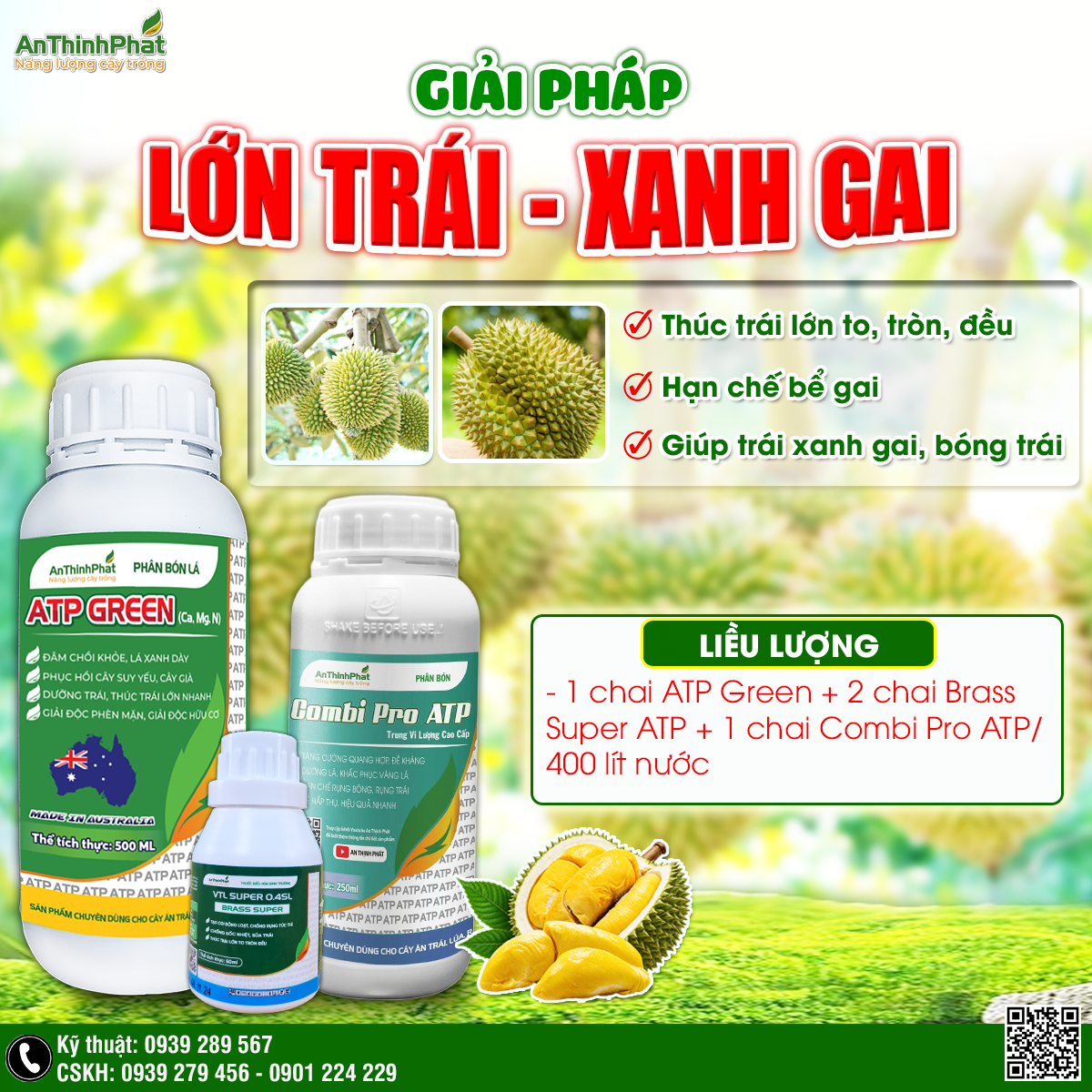 Giải pháp lớn trái xanh gai sầu riêng 