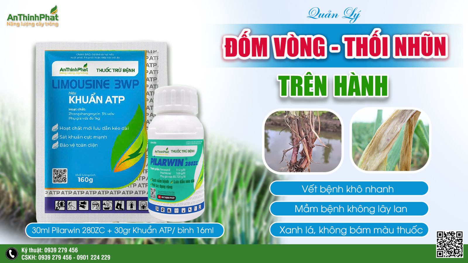 Quản lý đốm vòng - thối nhũn hàn 