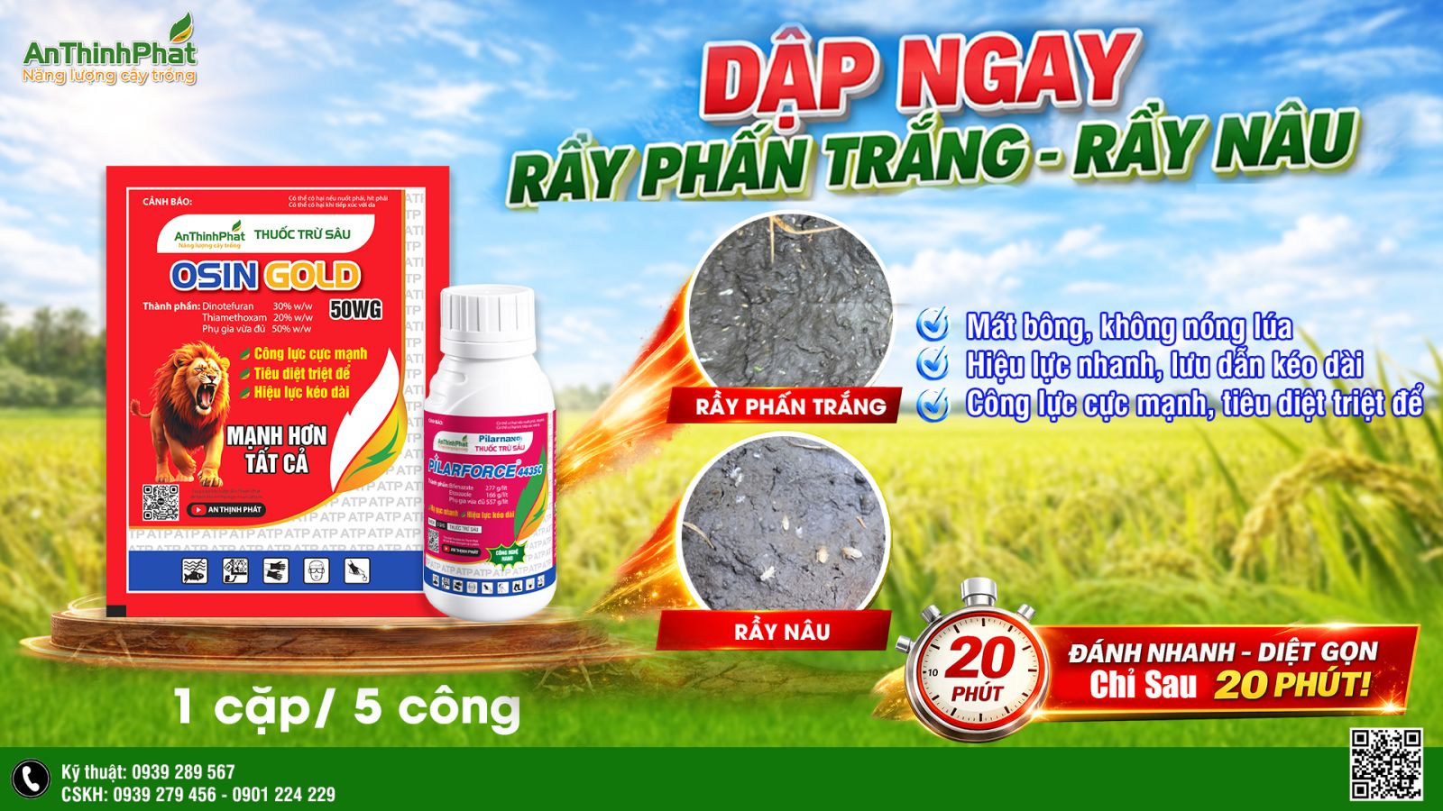 giải pháp dập dịch rầy nâu rầy phấn trắng 