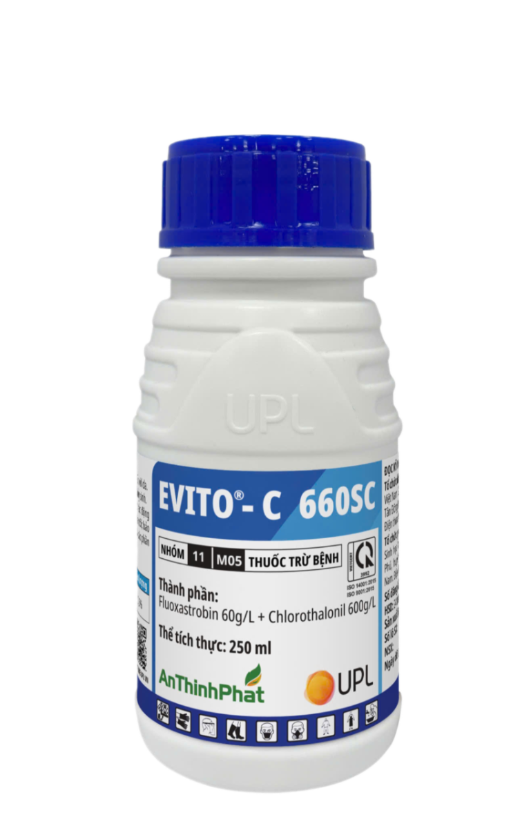 EVITO - C 