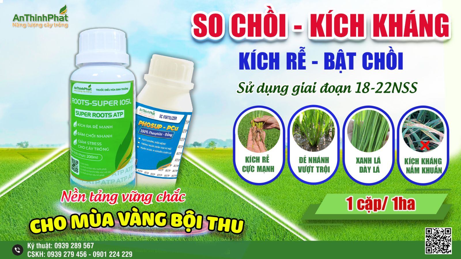 so chồi kích khán