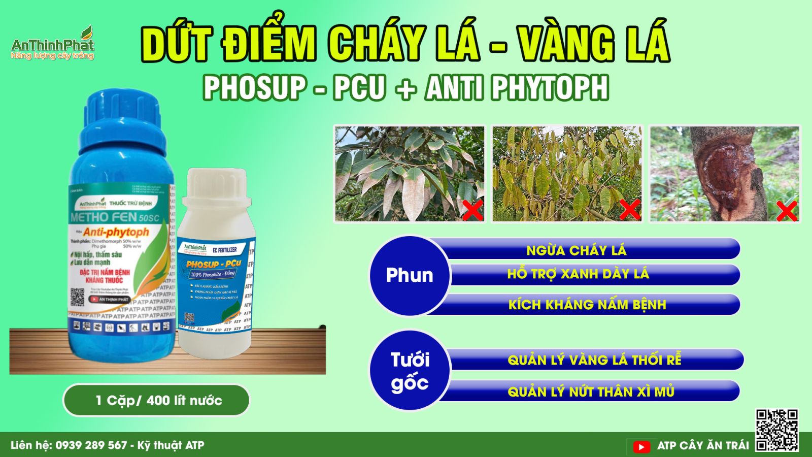 cháy lá sầu riêng mùa khô