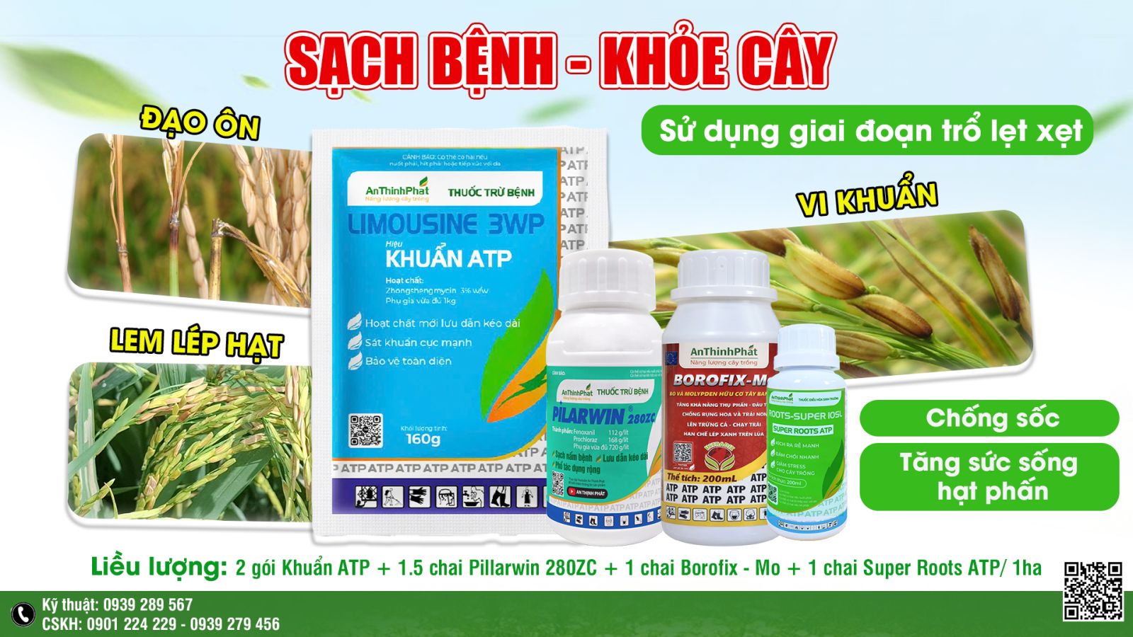 ngừa lem lép hạt 