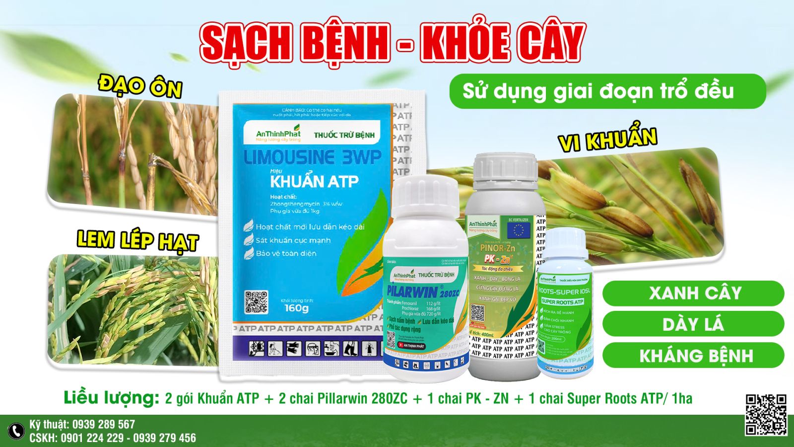 ngừa lem lép hạt 