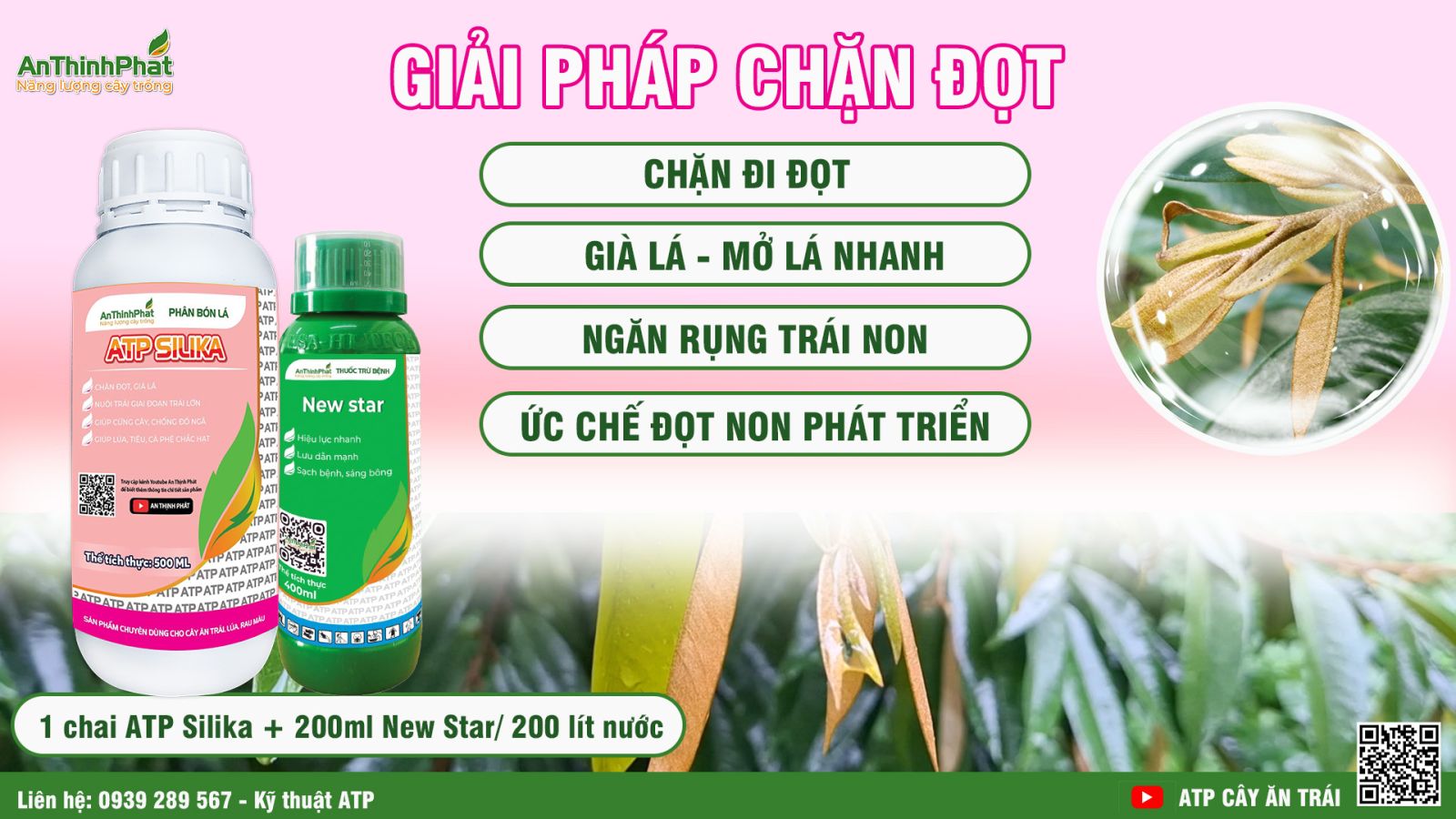 sượng nước sầu riêng