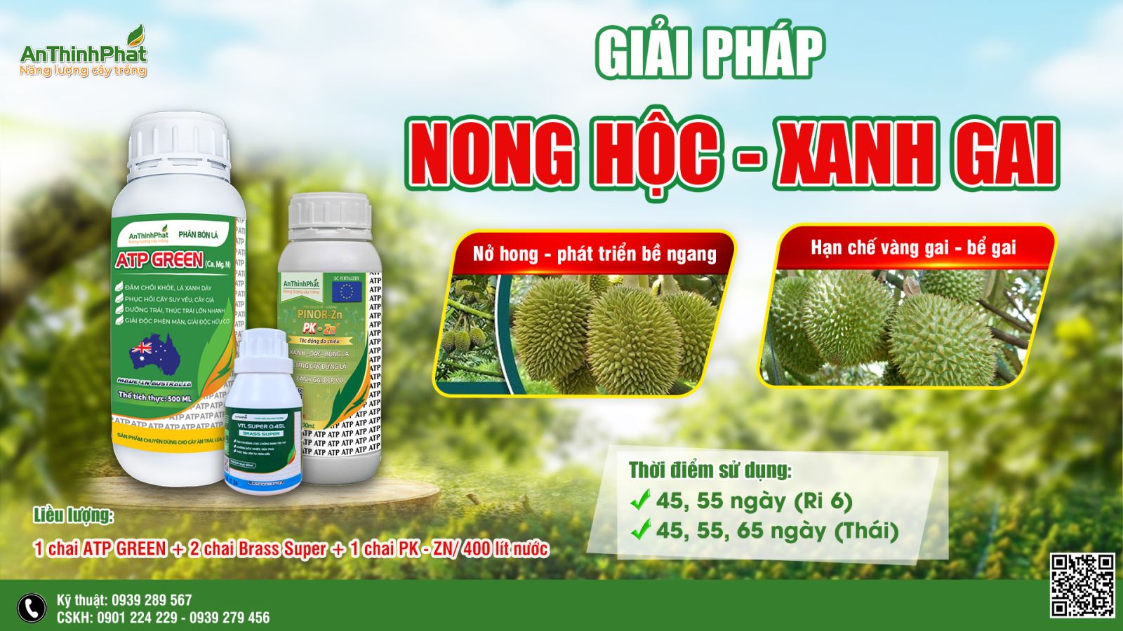 nong hộc sầu riêng 
