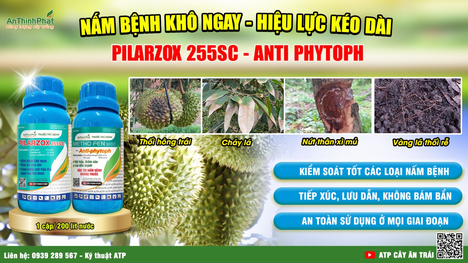 thối trái sầu riêng