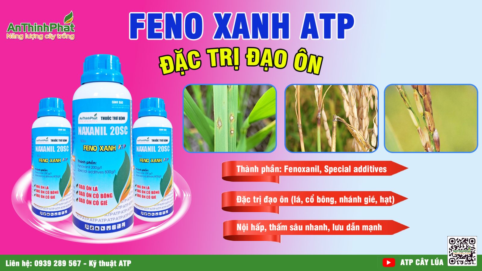 giải pháp đặc trị bệnh đạo ôn