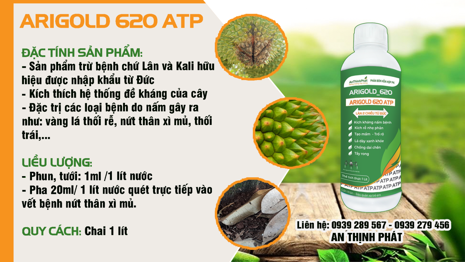 chết nhánh sầu riêng