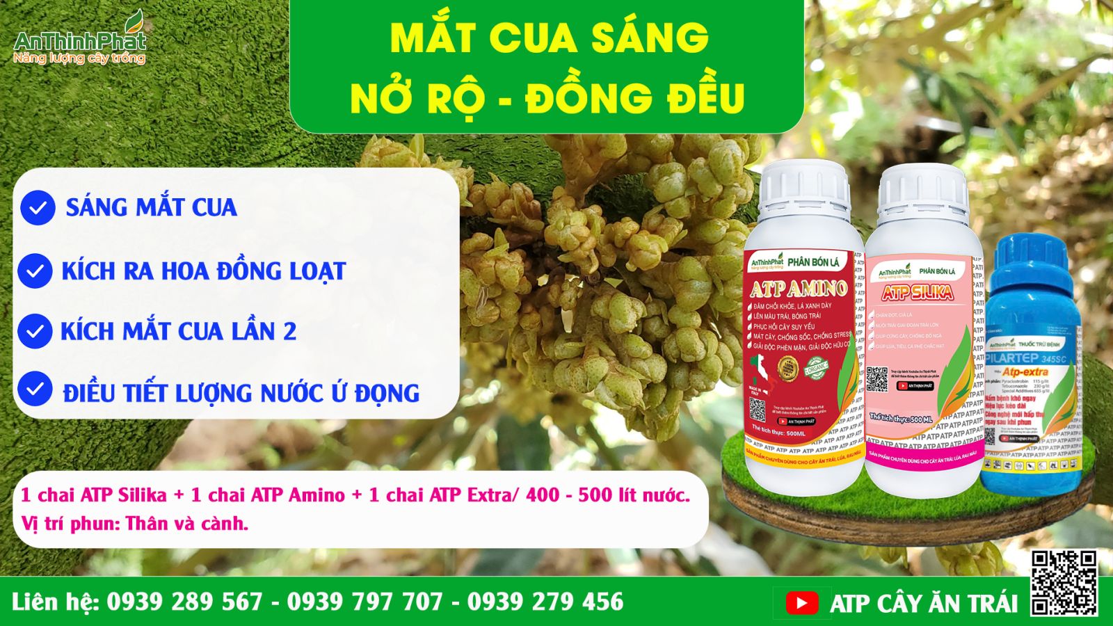 các yếu tố ảnh hưởng đến sự ra hoa sầu riêng 