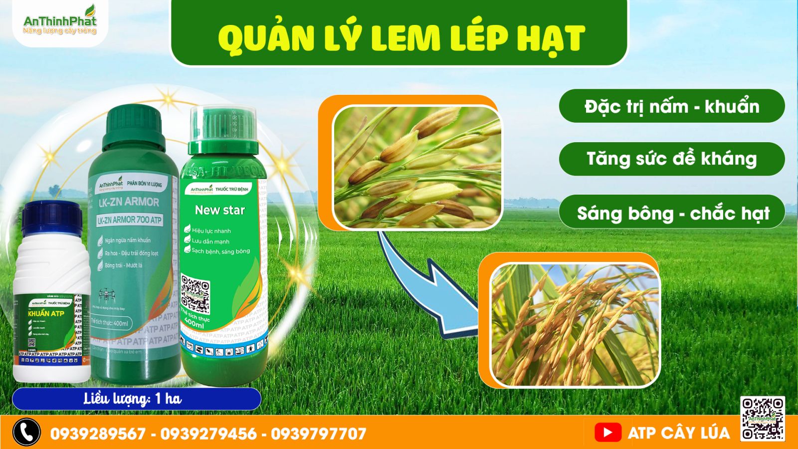 giải pháp quản lý lem lép hạt