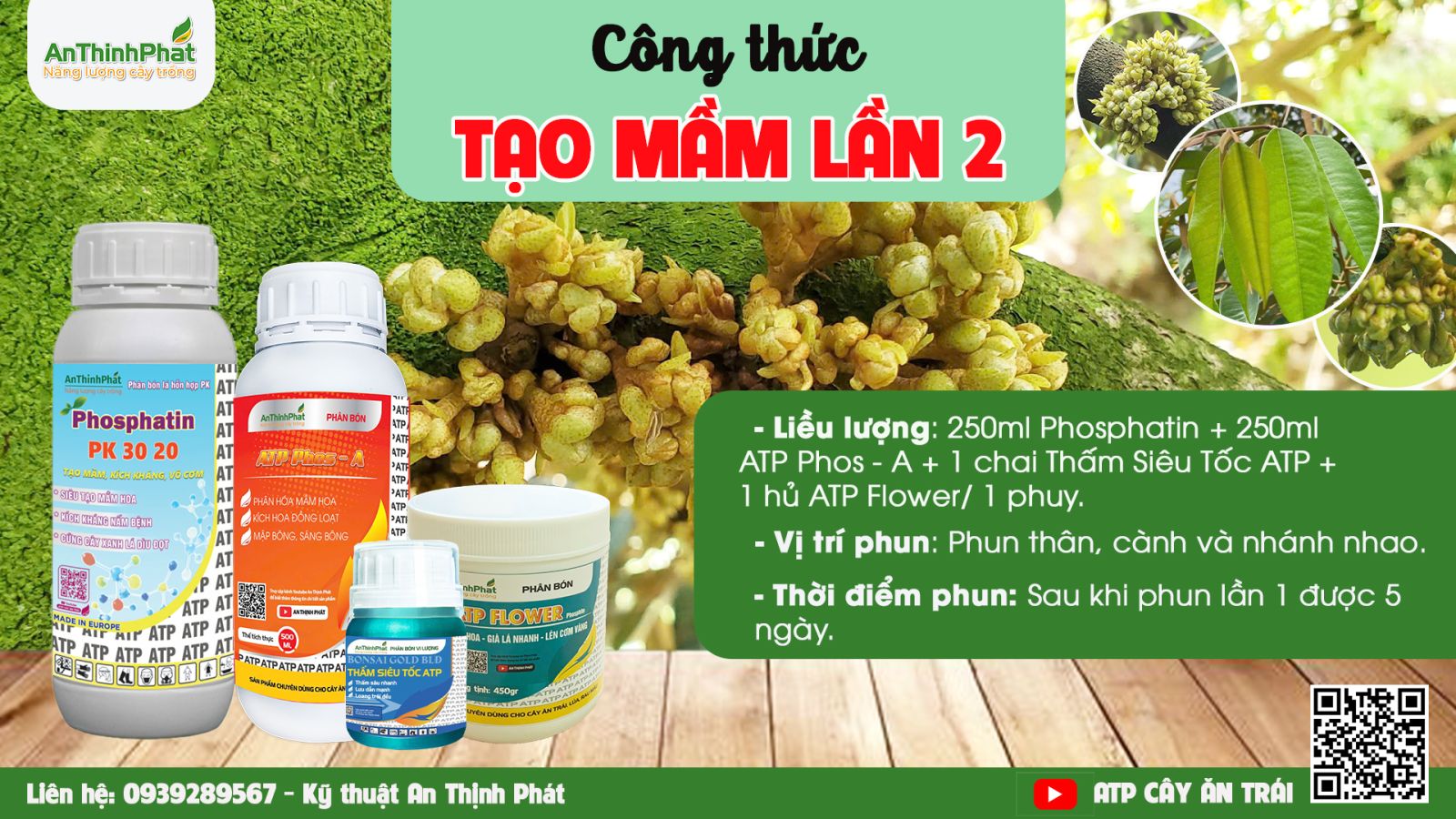 mắt cua bị đen