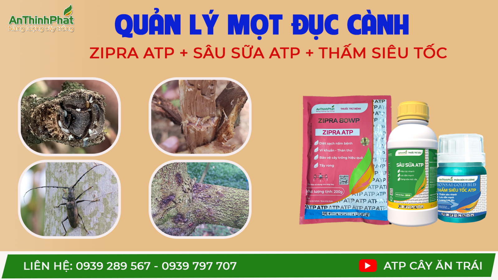 mot-duc-canh-sau-rieng