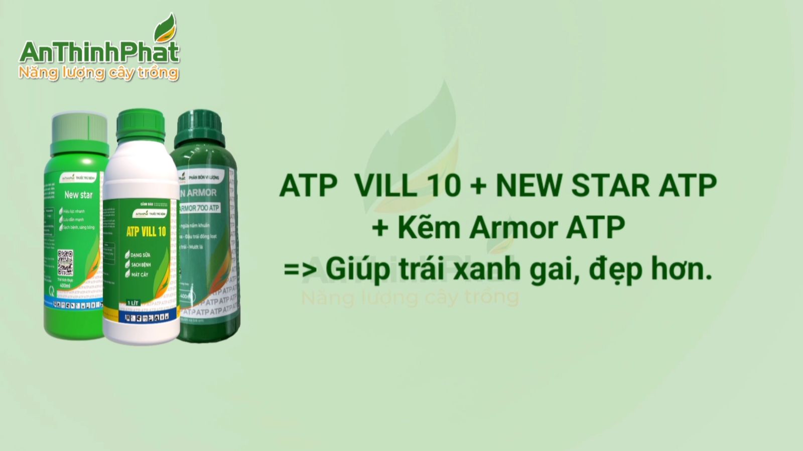 công thức khắc phục bể gai vàng gai sầu riêng