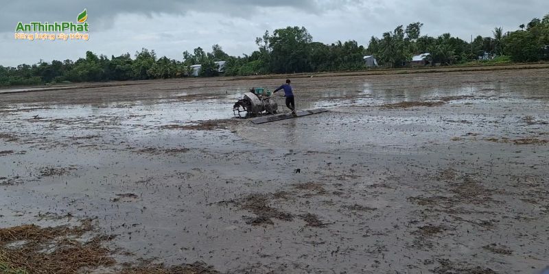 lưu ý xuống giống vụ thu đông 