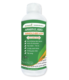ARIGOLD 620 ATP 