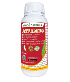 ATP AMINO 