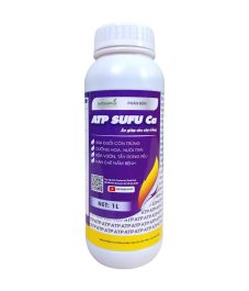 ATP SUFU CA 