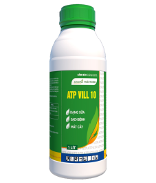 ATP VILL 10