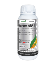 BORON ATP 