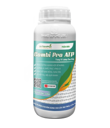 COMBI PRO ATP 