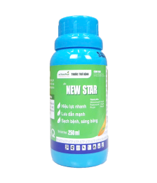 New Star