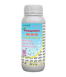 PHOSPHATIN 