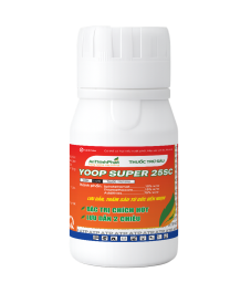 YOOP SUPER 25SC 