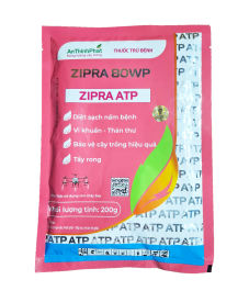 ZIPRA ATP
