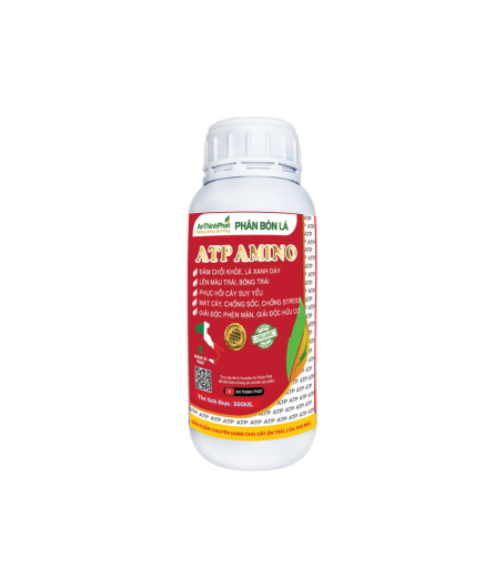 ATP AMINO 